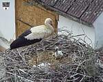 Capi_Dubne_20260602_153003.jpg