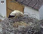 Capi_Dubne_20260602_154004.jpg