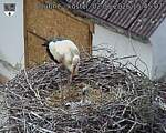 Capi_Dubne_20260602_154502.jpg