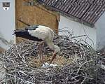 Capi_Dubne_20260602_155504.jpg