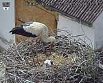 Capi_Dubne_20260602_161503.jpg