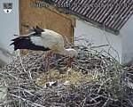 Capi_Dubne_20260602_162002.jpg