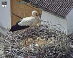 Capi_Dubne_20260602_162503.jpg