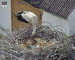 Capi_Dubne_20260602_165002.jpg