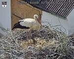 Capi_Dubne_20260602_170003.jpg