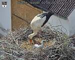 Capi_Dubne_20260602_170503.jpg
