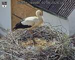 Capi_Dubne_20260602_171503.jpg