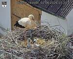 Capi_Dubne_20260602_172003.jpg