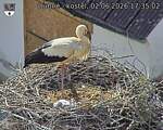 Capi_Dubne_20260602_173502.jpg