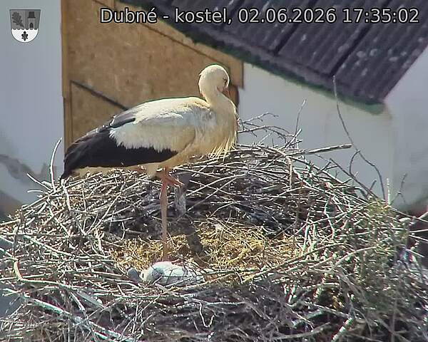 preload