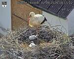 Capi_Dubne_20260602_181502.jpg