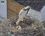 Capi_Dubne_20260602_183503.jpg