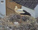 Capi_Dubne_20260602_185004.jpg