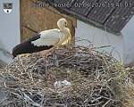 Capi_Dubne_20260602_194003.jpg