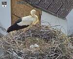 Capi_Dubne_20260602_194503.jpg