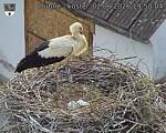 Capi_Dubne_20260602_195004.jpg