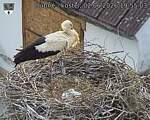 Capi_Dubne_20260602_195504.jpg
