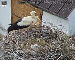 Capi_Dubne_20260602_200503.jpg