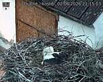 Capi_Dubne_20260602_211503.jpg