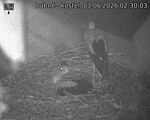 Capi_Dubne_20260603_023003.jpg