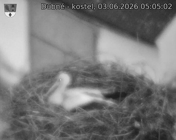 Capi_Dubne_20260603_050502.jpg (1350&nbsp;x&nbsp;1080)