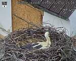 Capi_Dubne_20260603_072504.jpg