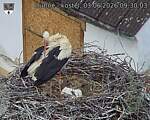 Capi_Dubne_20260603_093003.jpg