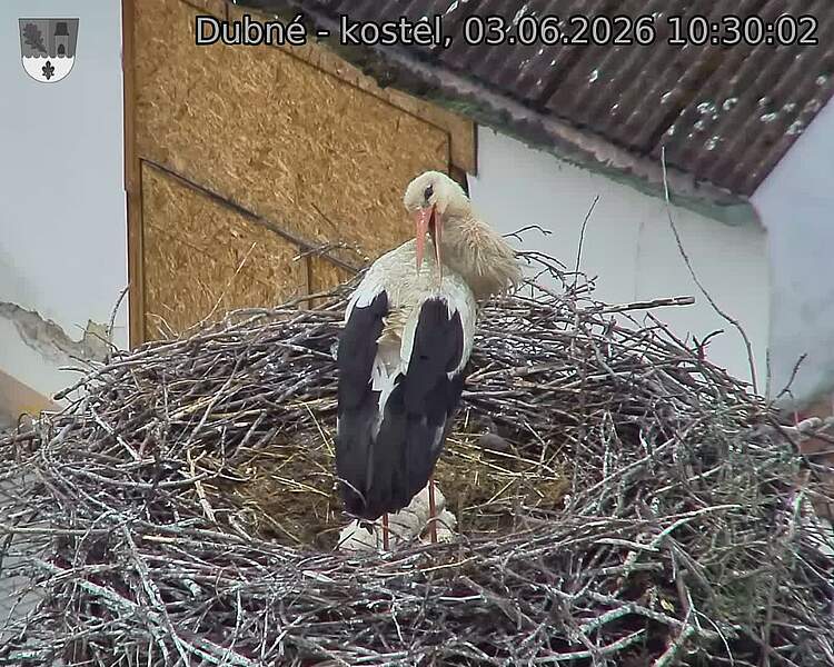 preload