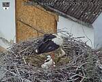 Capi_Dubne_20260603_103502.jpg