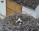 Capi_Dubne_20260603_104503.jpg