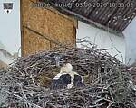 Capi_Dubne_20260603_105503.jpg