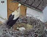 Capi_Dubne_20260603_113502.jpg
