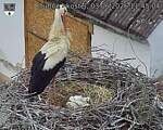 Capi_Dubne_20260603_114504.jpg