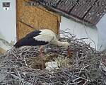 Capi_Dubne_20260603_122004.jpg