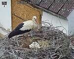 Capi_Dubne_20260603_125503.jpg