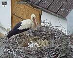 Capi_Dubne_20260603_130502.jpg