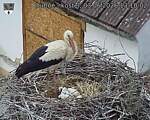 Capi_Dubne_20260603_131002.jpg