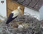 Capi_Dubne_20260603_131503.jpg