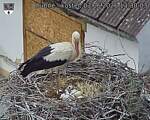 Capi_Dubne_20260603_133003.jpg