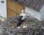 Capi_Dubne_20260603_152004.jpg