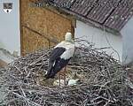 Capi_Dubne_20260603_152503.jpg