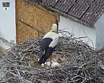 Capi_Dubne_20260603_153002.jpg