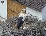 Capi_Dubne_20260603_153504.jpg