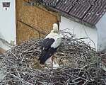 Capi_Dubne_20260603_154002.jpg