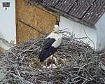 Capi_Dubne_20260603_154503.jpg