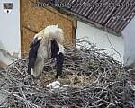 Capi_Dubne_20260603_164003.jpg