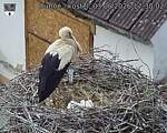 Capi_Dubne_20260603_173002.jpg