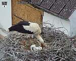 Capi_Dubne_20260603_183002.jpg