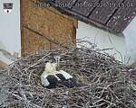Capi_Dubne_20260603_191504.jpg