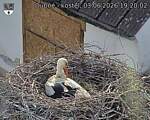 Capi_Dubne_20260603_192002.jpg